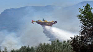Γαλλικό πυροσβεστικό αεροπλάνο τύπου Καναντέρ (Canadair) κάνει ρίψεις νερού κατά τη διάρκεια μεγάλης πυρκαγιάς που ξέσπασε στην περιοχή Κουτσουποδέικα, στο δημοτικό διαμέρισμα Μαλανδρενίου του δήμου Άργους Μυκηνών, Κυριακή 19 Ιουλίου 2015. Η φωτιά λόγω και των ισχυρών ανέμων που πνέουν, γρήγορα πήρε διαστάσεις έχει εξαπλωθεί και καίει δασική έκταση, αλλά και καλλιέργειες με ελιές. Στο σημείο έχουν σπεύσει δυνάμεις της Πυροσβεστικής υπηρεσίας με επτά οχήματα και 19 πυροσβέστες όπου επιχειρούν, ενώ το έργο τους συνδράμουν και πολίτες με υδροφόρες και ψεκαστικά, καθώς και τρία αεροσκάφη που κάνουν συνεχείς ρίψεις νερού. Από τη φωτιά δεν απειλούνται κατοικημένες περιοχές. ΑΠΕ-ΜΠΕ /ΑΠΕ-ΜΠΕ/ΜΠΟΥΓΙΩΤΗΣ ΕΥΑΓΓΕΛΟΣ